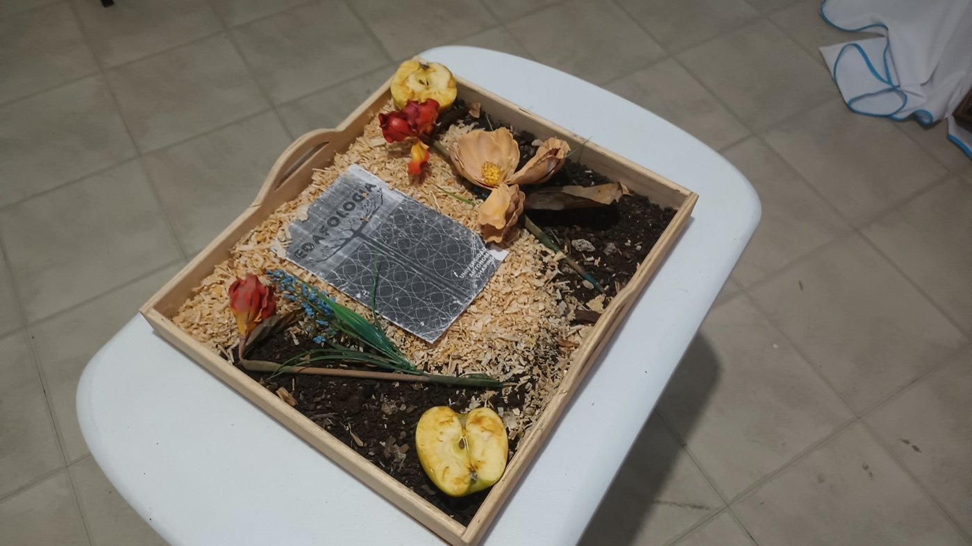Material didáctico · proyecto de aula